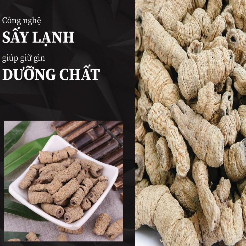 Hình ảnh ba kích tím khô rút lõi chất lượng tại THAPHACO