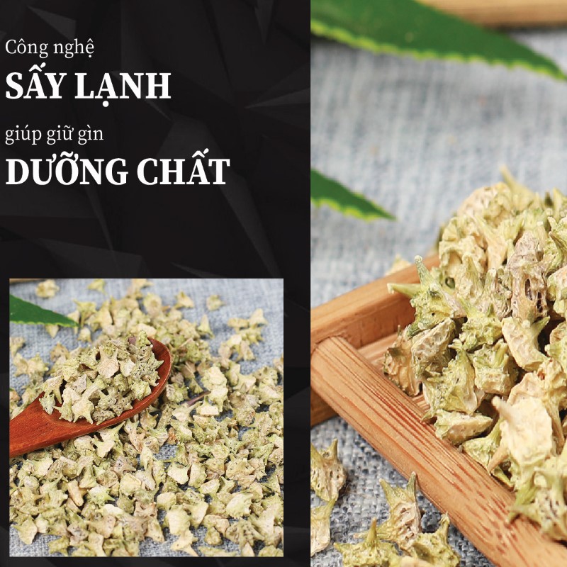Hình ảnh sản phẩm bạch tật lê giá rẻ tại THAPHACO