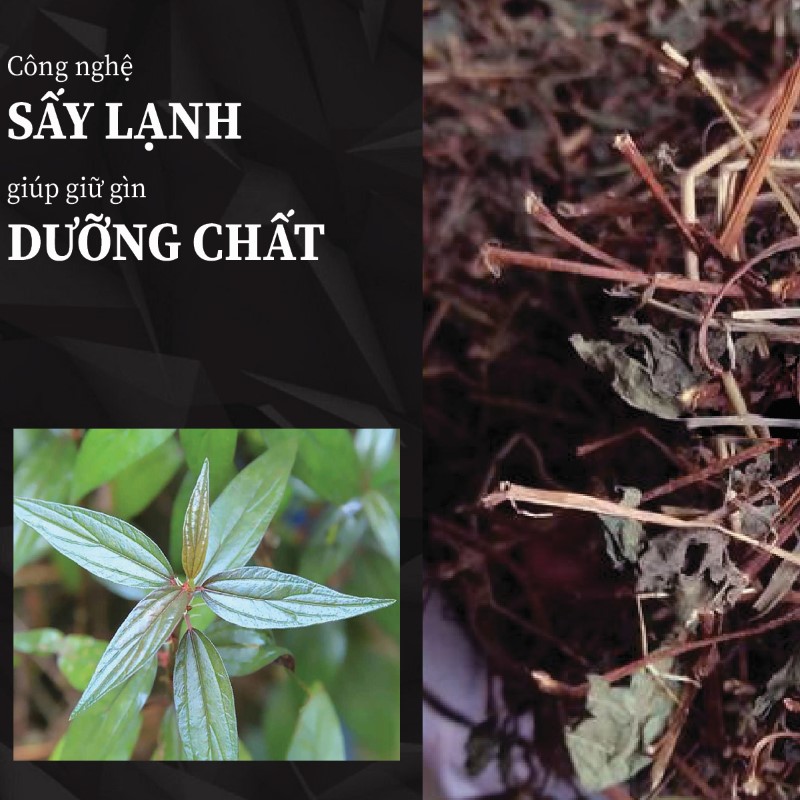 Hình ảnh bọ mắm khô chất lượng tại THAPHACO