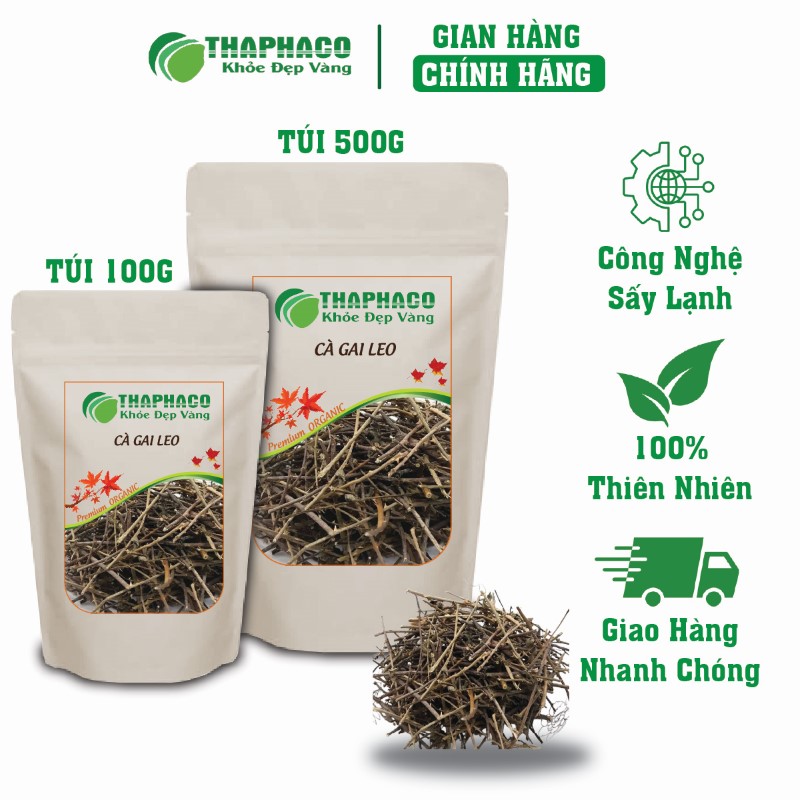 Gợi ý địa chỉ bán cà gai leo giá rẻ tại TP.HCM