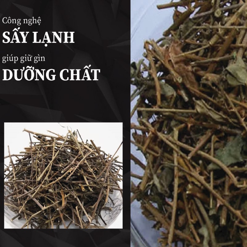Nhờ công nghệ sấy lạnh giúp giữ nguyên công dụng của cà gai leo