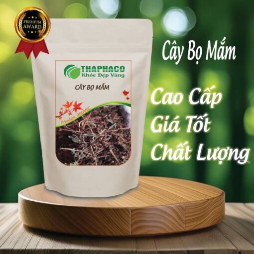 Túi 100g cây bọ mắm khô giá rẻ
