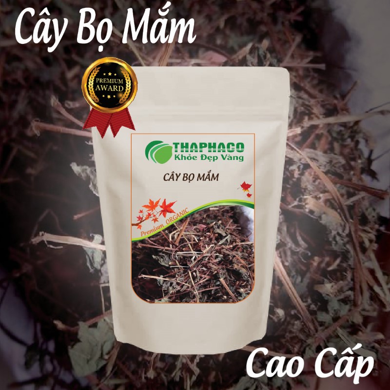 Túi cây bọ mắm khô 100g giá rẻ, tiện lợi, dễ sử dụng
