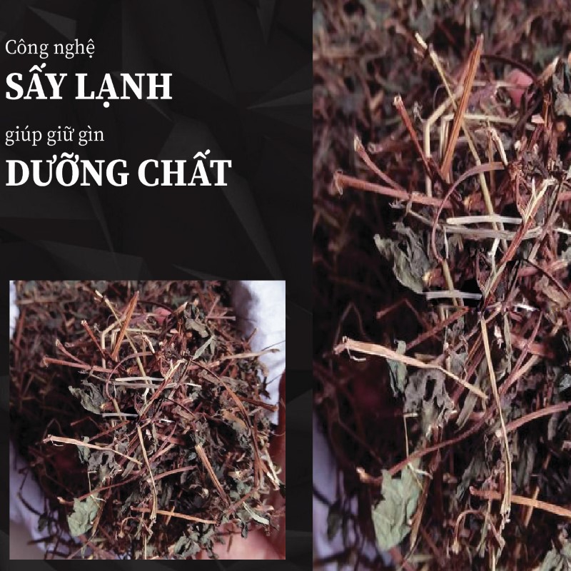 Hình ảnh cây bọ mắm khô được sấy lạnh hiện đại tại THAPHACO