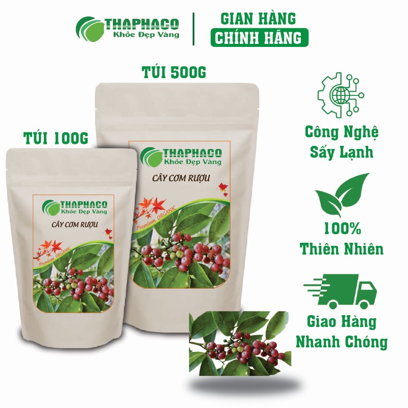 Gợi ý địa chỉ bán cây cơm rượu khô giá rẻ tại TP.HCM