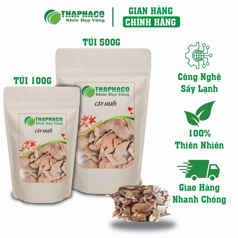 Gợi ý địa chỉ bán cây muối khô giá rẻ tại TP.HCM