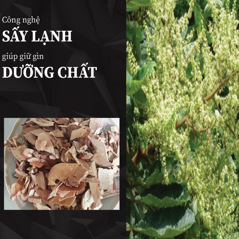 Ưu điểm đặc biệt của cây muối khô giá rẻ tại THAPHACO