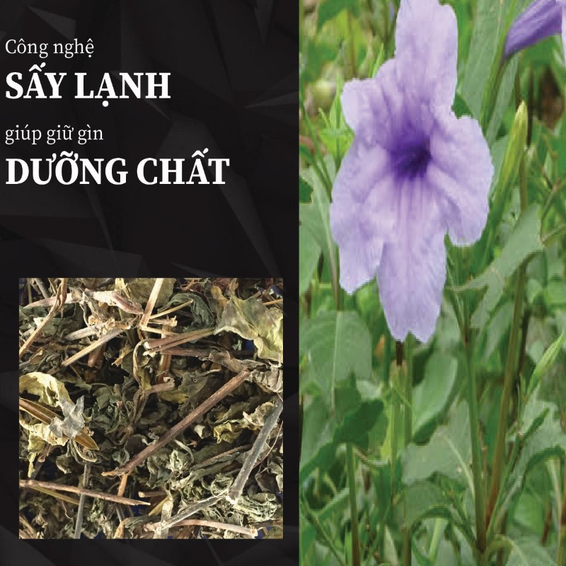 Hình ảnh cây nổ khô chất lượng giá rẻ tại THAPHACO