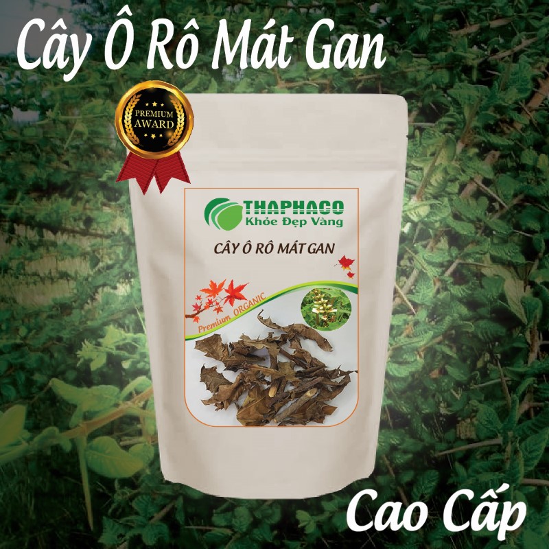 Cây ô rô mát gan khô giá rẻ mang đến nhiều công dụng tuyệt vời