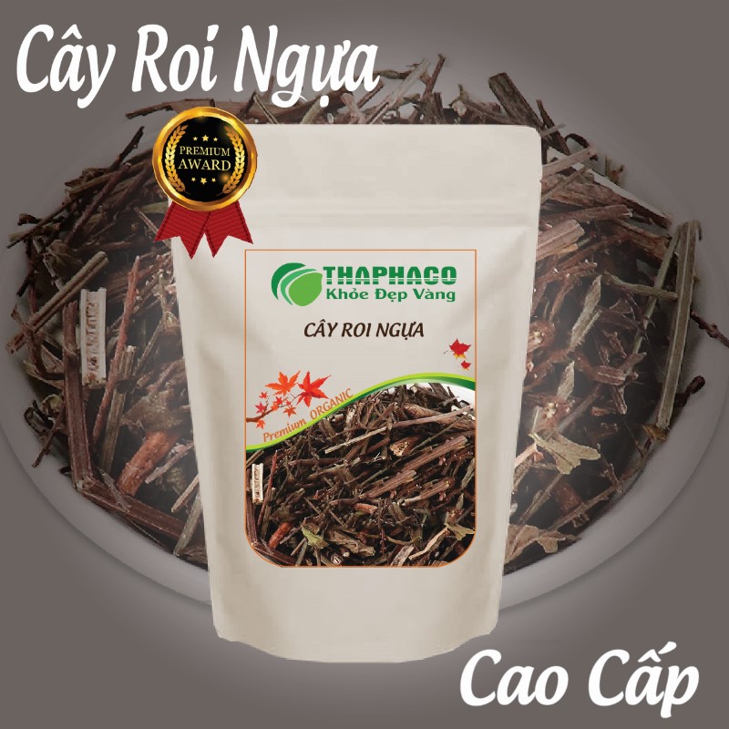 Cây roi ngựa khô có rất nhiều tác dụng tốt cho sức khoẻ