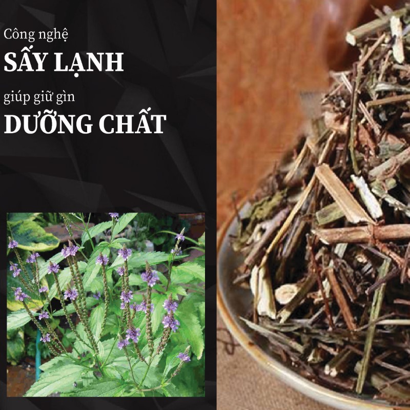 Công nghệ sấy lạnh tại THAPHACO giúp cây roi ngựa khô giữ nguyên dưỡng chất