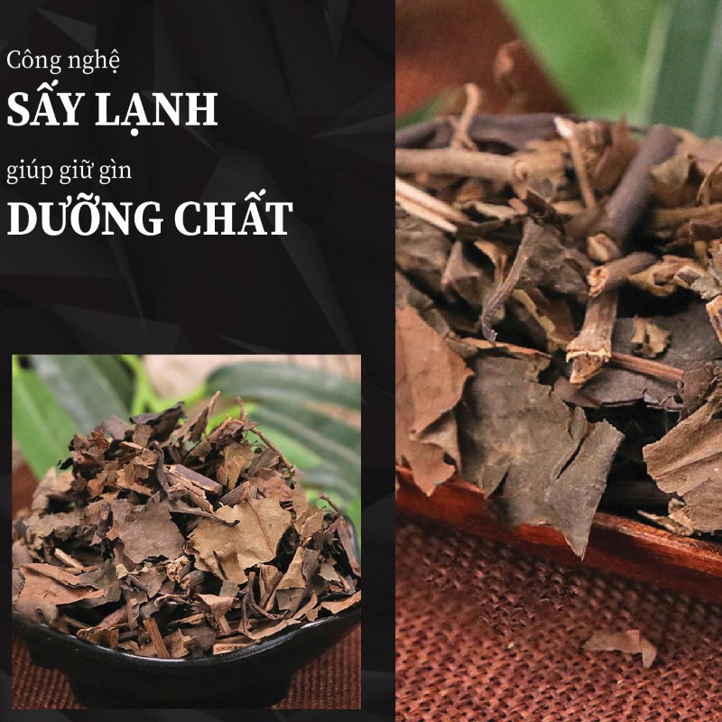 Hình ảnh cây sói rừng khô sau quá trình sấy lạnh tại THAPHACO