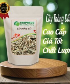 Túi cây thông đất khô 100g giá rẻ