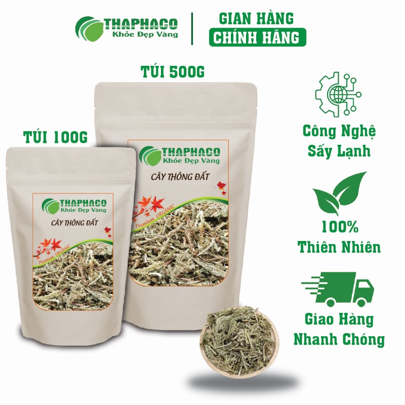 Mua túi cây thông đất khô 100g tại THAPHACO để nhận nhiều ưu đãi