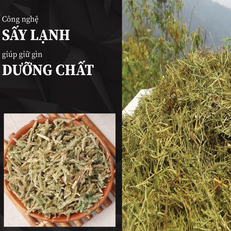 Ưu điểm vượt trội của câu thông đất khô THAPHACO