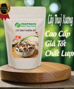 Túi cây thuỷ xương bồ khô 100g giá rẻ