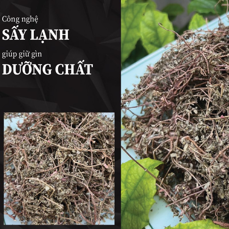 Hình ảnh cỏ sứa lá nhỏ khô chất lượng tại THAPHACO