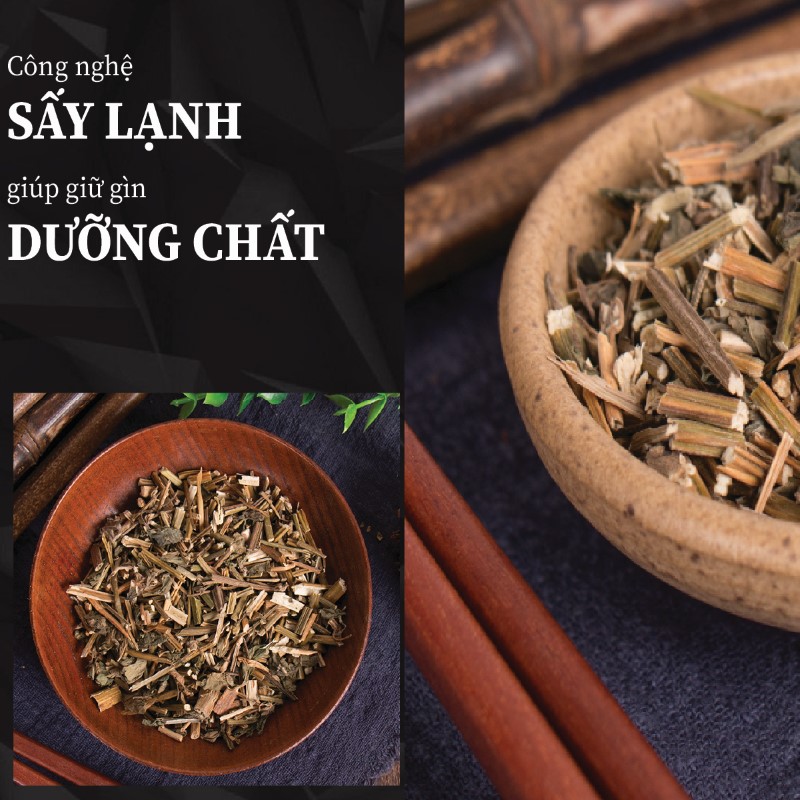 Cỏ xước khô giữ trọn dưỡng chất nhờ quy trình sấy hiện đại