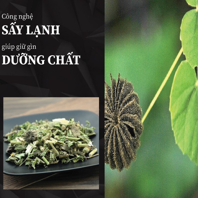 Cối xay khô được sấy lạnh bằng quy trình công nghệ hiện đại