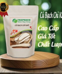 Túi củ bạch chỉ khô 100g giá rẻ tại THAPHACO