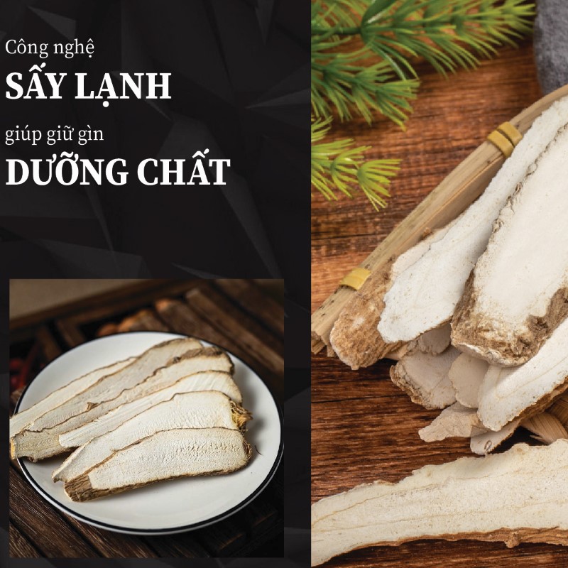 Củ bạch chỉ khô giữ trọn dưỡng chất nhờ công nghệ sấy hiện đại
