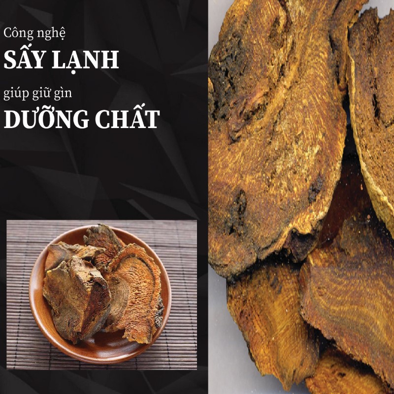 Ưu điểm nổi trội của đại hoàng khô THAPHACO