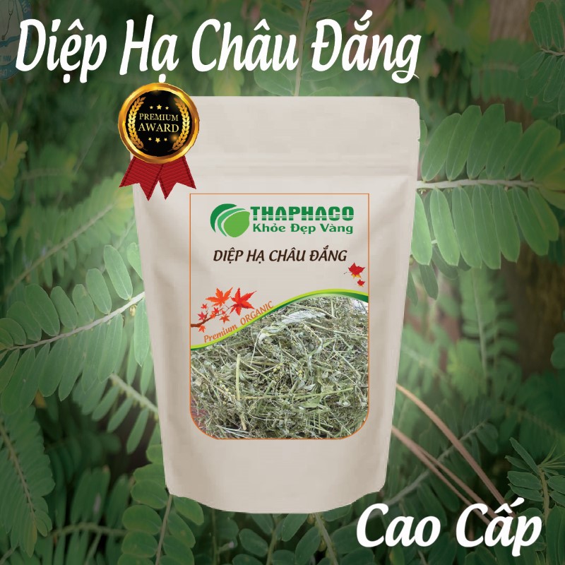 Túi diệp hạ châu đắng phù hợp với nhiều nhóm khách hàng