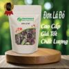 Túi đơn lá đỏ giá rẻ 100g