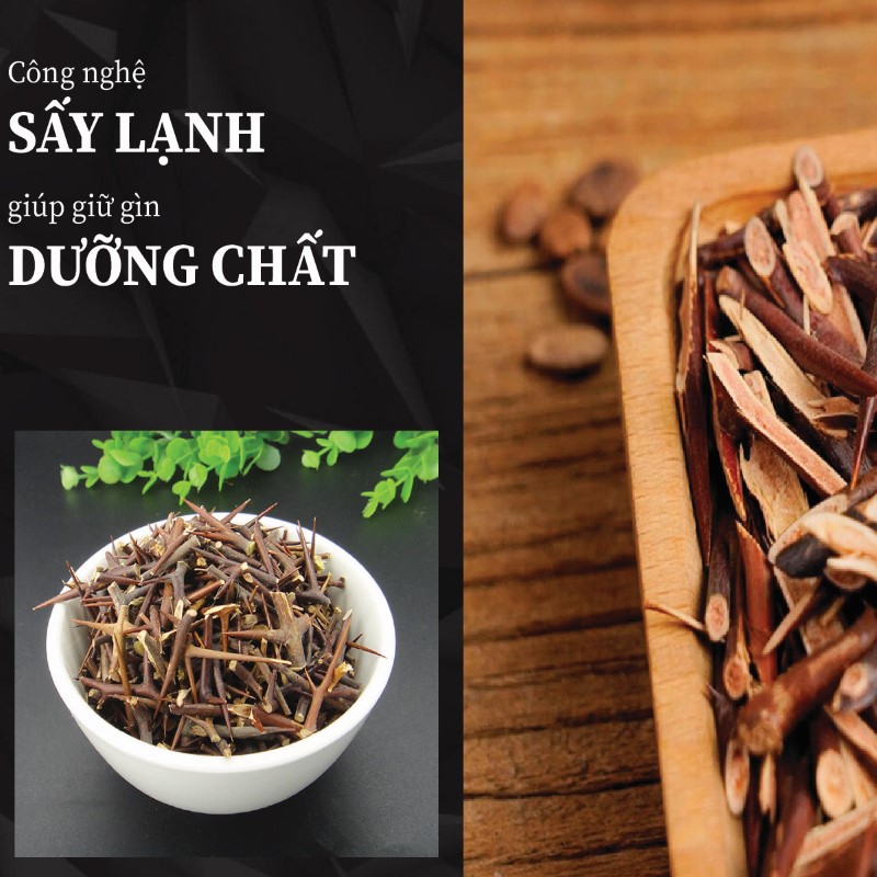 Gai bồ kế khô được sản xuất với quy trình công nghệ hiện đại 