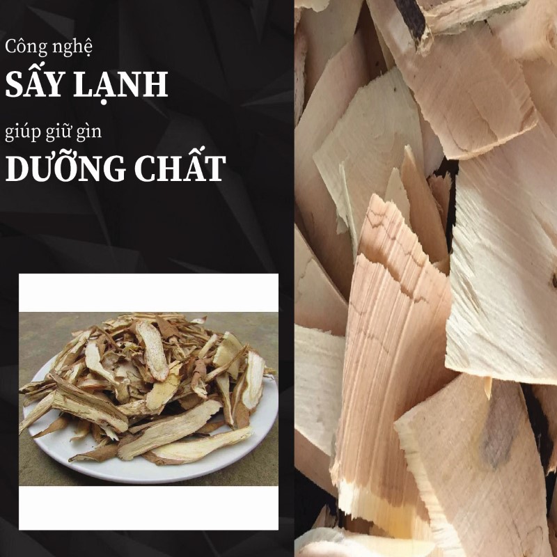 Hình ảnh gai tầm xoọng khô chất lượng tại THAPHACO