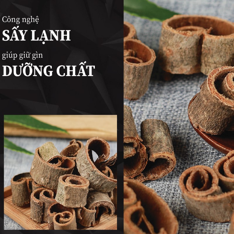 Hậu phác khô được xử lý bằng quy trình công nghệ hiện đại