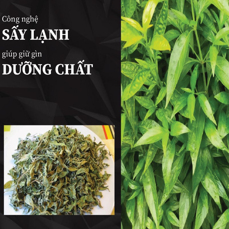 Công nghệ sấy lạnh giúp hoàn ngọc giữ trọn dưỡng chất