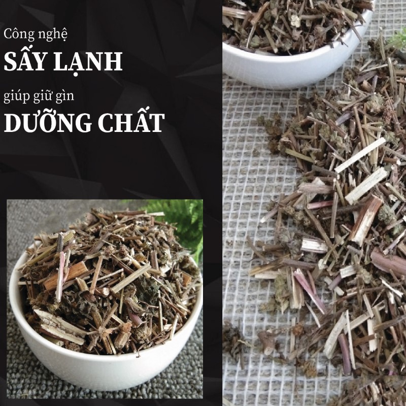 Ưu điểm nổi bật của kinh giới khô chất lượng tại THAPHACO