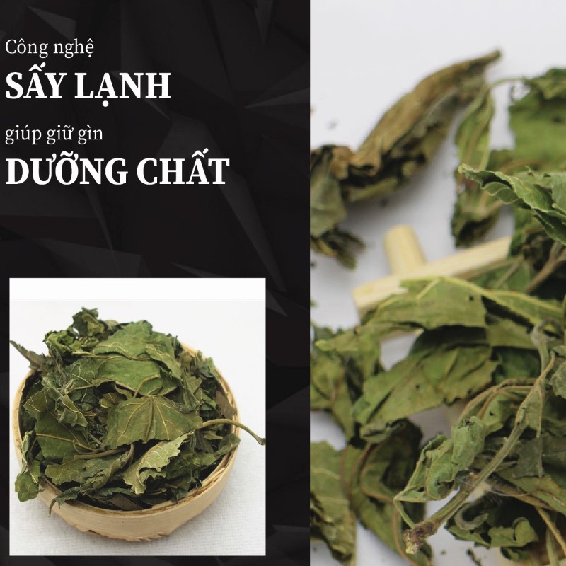 Hình ảnh lá dâu tằm sấy khô chất lượng của THAPHACO