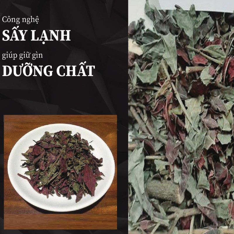 Hình ảnh lá đơn đỏ khô chất lượng tại THAPHACO