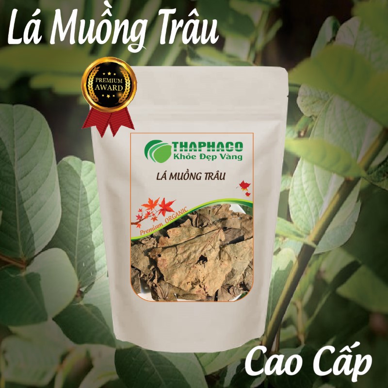 Túi 100g lá muồng trâu tiện lợi, giá rẻ, dễ sử dụng