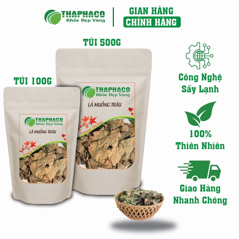 Gợi ý nơi bán túi 100g lá muồng trâu khô giá rẻ tại TP.HCM