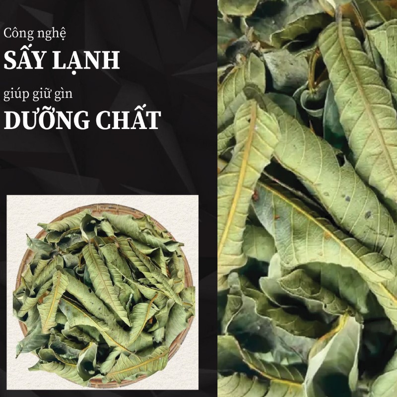 Hình ảnh sản phẩm lá ổi khô chất lượng tại THAPHACO