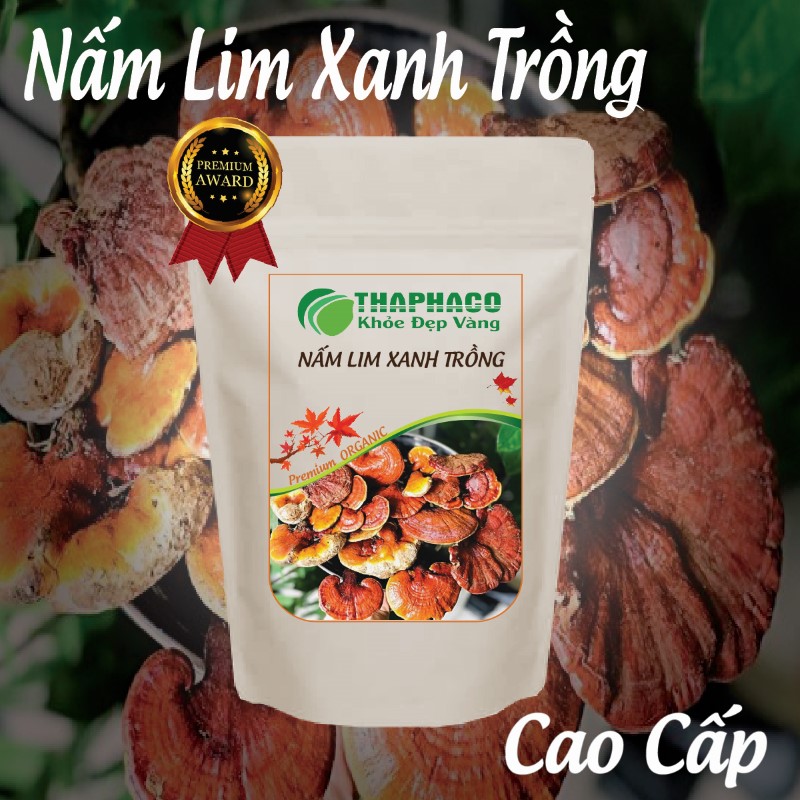 Nấm lim xanh trồng mang lại nhiều công dụng tốt cho sức khoẻ