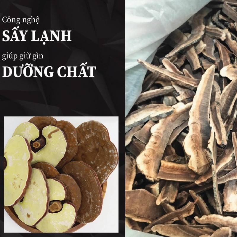 Ưu điểm nổi bật của nấm linh chi rừng khô tại THAPHACO