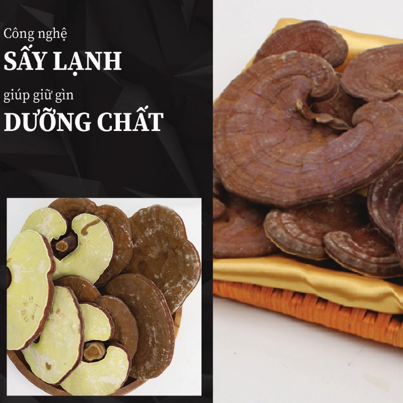 Hình ảnh sản phẩm nấm linh chi Hàn Quốc khô tại THAPHACO