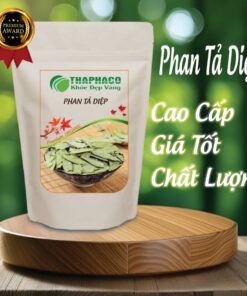 Túi phan tả diệp khô 100g