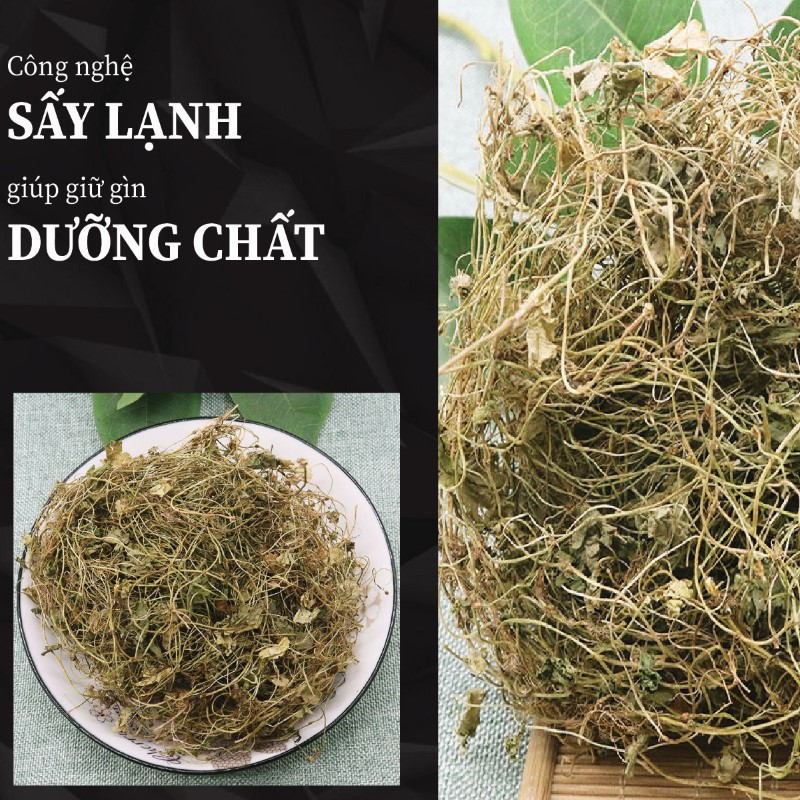 Ưu điểm vượt trội của rau má phơi khô THAPHACO