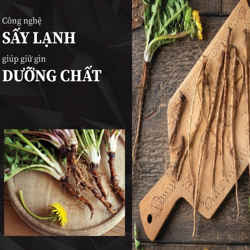Rễ bồ công anh khô tại THAPHACO có nhiều ưu điểm nổi bật