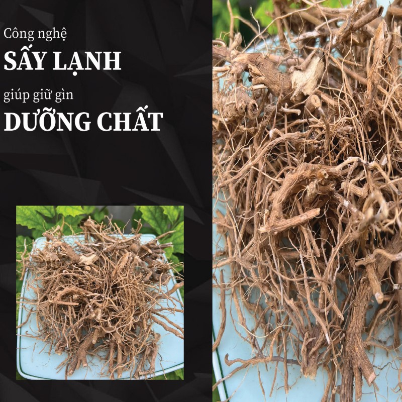 Hình ảnh rễ cà gai leo khô chất lượng tại THAPHACO