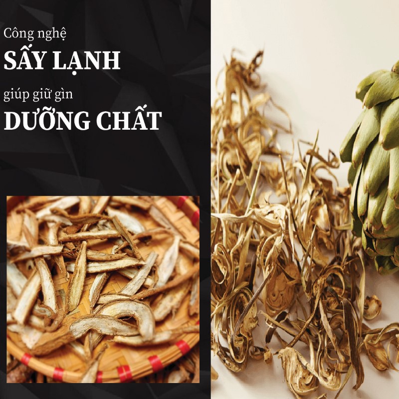 Ưu điểm nổi bật của rễ cây atiso khô tại THAPHACO