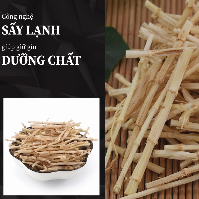 Rễ cỏ tranh sấy lạnh chất lượng tại THAPHACO
