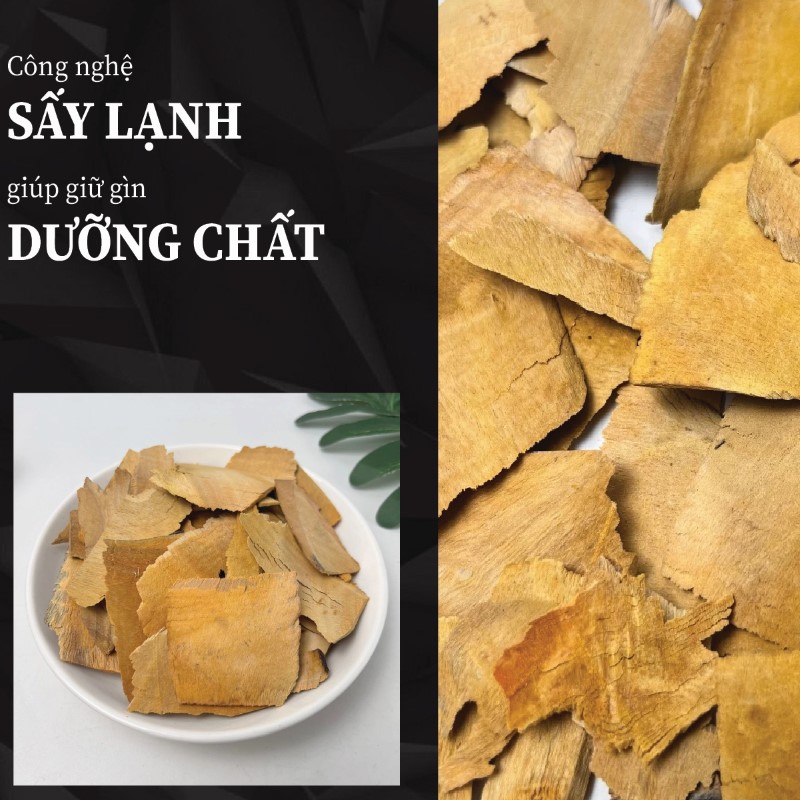 Rễ nhàu khô giữ trọn dưỡng chất nhờ quy trình sấy hiện đại