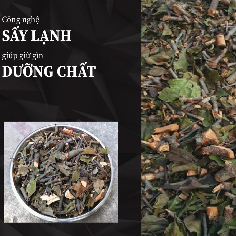 Ưu điểm nổi bật của tầm gửi gạo tía khô tại THAPHACO