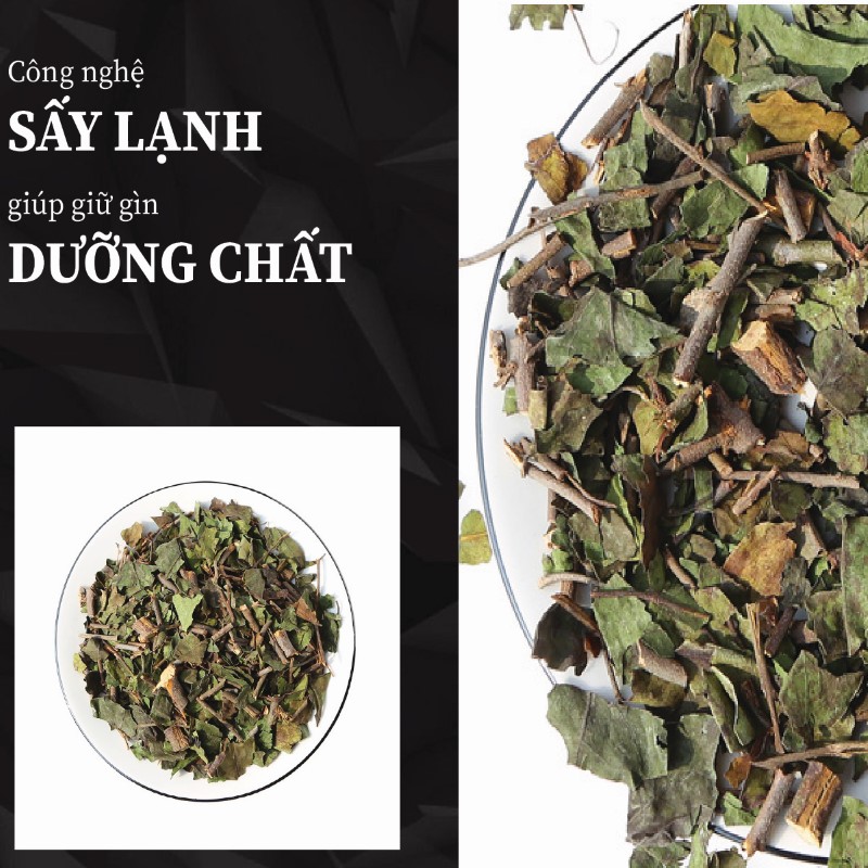 Tầm gửi ngái khô được sấy lạnh bằng quy trình hiện đại